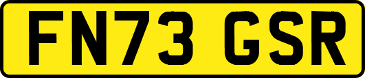 FN73GSR