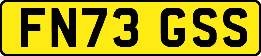 FN73GSS