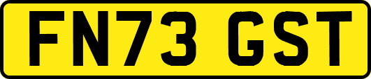 FN73GST