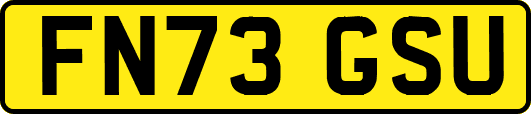 FN73GSU