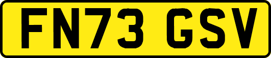FN73GSV