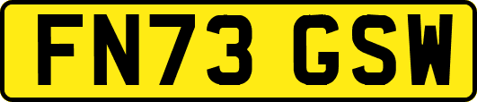 FN73GSW