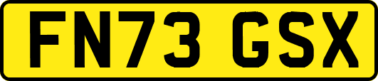 FN73GSX