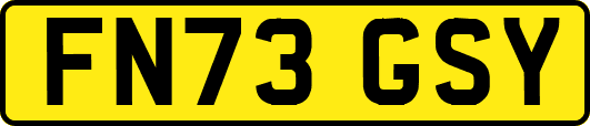 FN73GSY