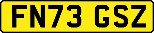 FN73GSZ