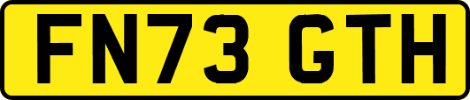 FN73GTH