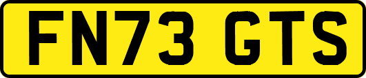 FN73GTS