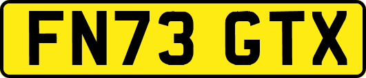 FN73GTX