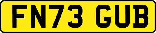 FN73GUB