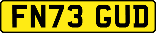 FN73GUD