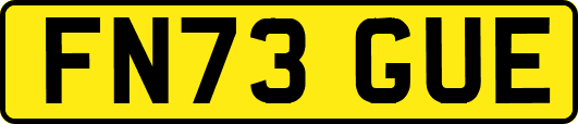FN73GUE