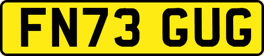FN73GUG