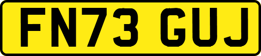 FN73GUJ