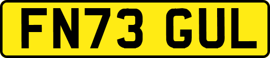 FN73GUL