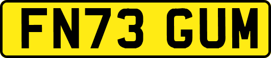 FN73GUM