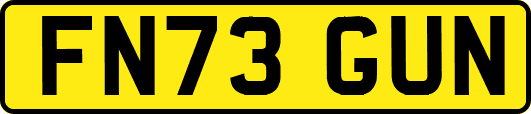 FN73GUN