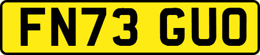 FN73GUO