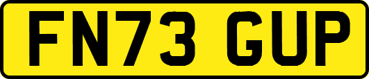 FN73GUP
