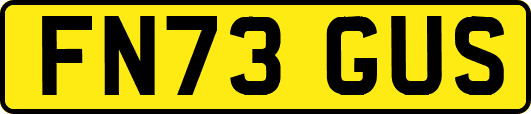 FN73GUS
