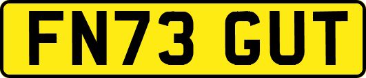 FN73GUT