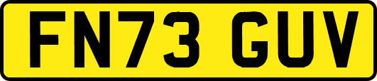 FN73GUV