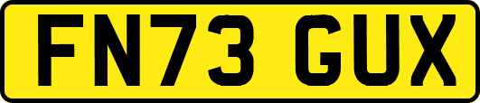 FN73GUX
