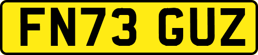 FN73GUZ