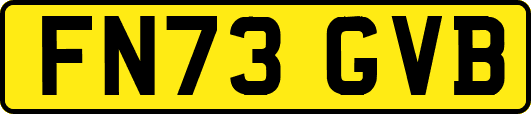 FN73GVB