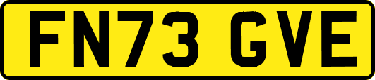 FN73GVE