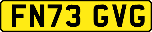 FN73GVG