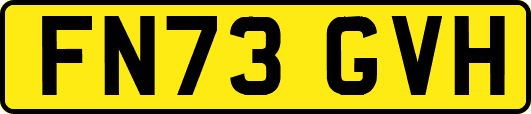 FN73GVH