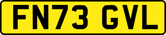 FN73GVL
