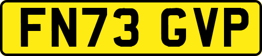 FN73GVP