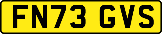 FN73GVS