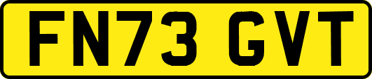 FN73GVT