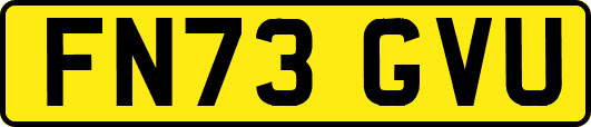 FN73GVU