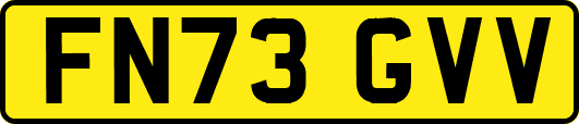FN73GVV