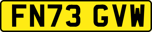 FN73GVW