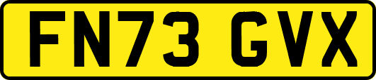 FN73GVX