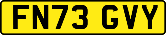 FN73GVY