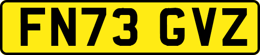 FN73GVZ