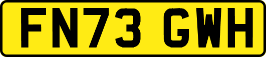 FN73GWH