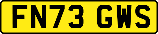 FN73GWS