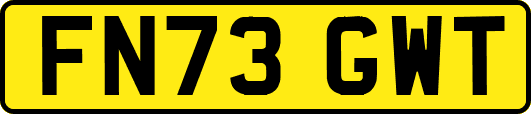 FN73GWT
