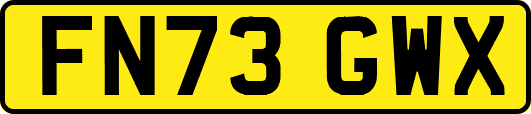FN73GWX
