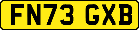 FN73GXB