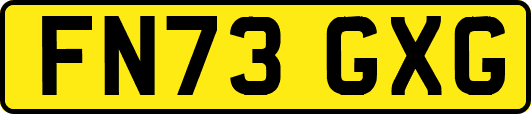 FN73GXG