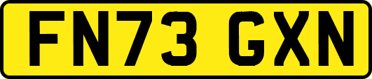 FN73GXN