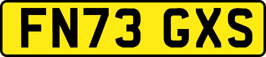 FN73GXS