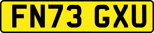 FN73GXU